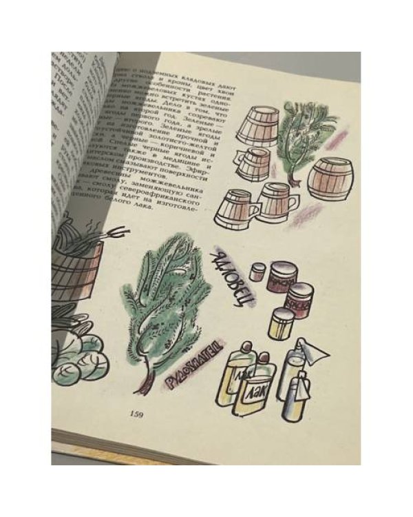 Дополнительное изображение книги «Нескучная книга для всей семьи»