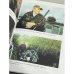 Театральный тандем. Феномен Данченко — Ступки