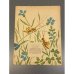 Дополнительное изображение книги «Щепочка и Камешек»