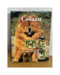Собаки. Выбор, уход, обучение, породы