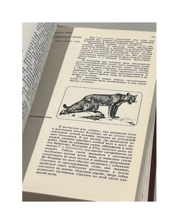 Дополнительное изображение книги «Красная книга. Дикая природа в опасности»