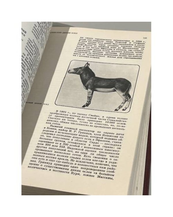 Дополнительное изображение книги «Красная книга. Дикая природа в опасности»