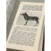 Дополнительное изображение книги «Красная книга. Дикая природа в опасности»