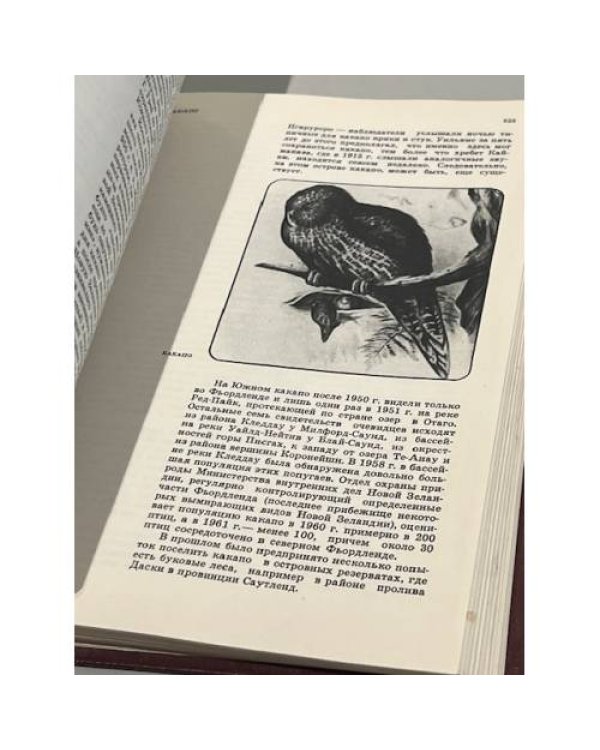 Дополнительное изображение книги «Красная книга. Дикая природа в опасности»