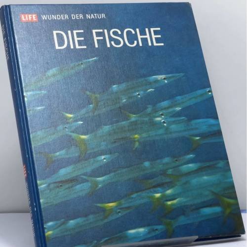 Обложка книги «Die Fische» — Francis Downes Ommanney