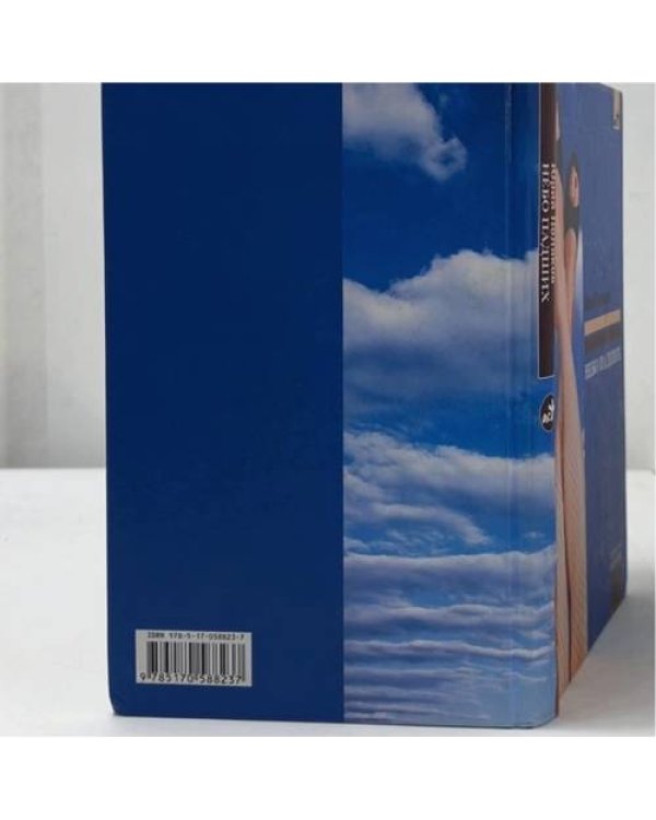 Дополнительное изображение книги «Небо падших»