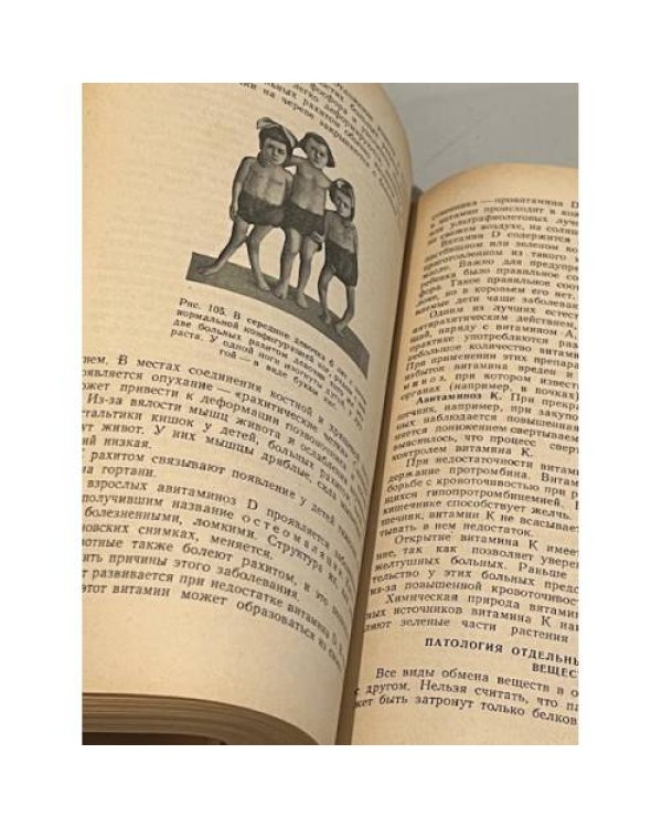Дополнительное изображение книги «Курс патологии (патологическая физиология и патологическая анатомия)»
