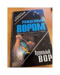 Правильный вор