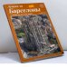Обложка книги «Лучшее из Барселоны» — Автор не указан, ISBN 9788486294472