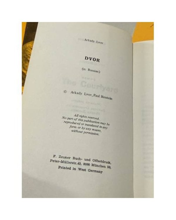  Двор. Роман. Книга первая и книга вторая.