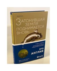 Затонувшая земля поднимается вновь