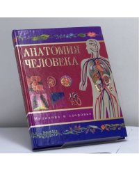 Анатомия человека