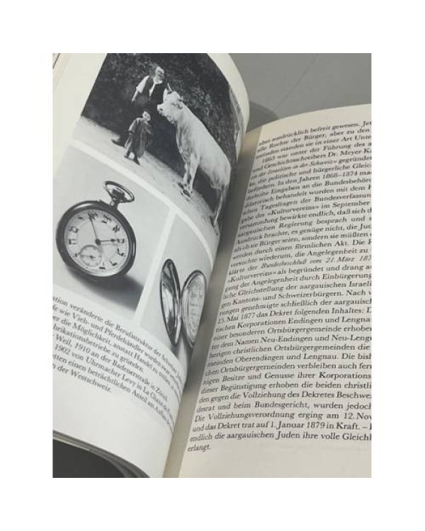 Дополнительное изображение книги «Jüden in der Schweiz. Glaube, Geschichte, Gegenwart»