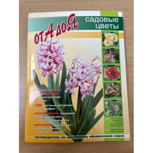 Садовые цветы от А до Я