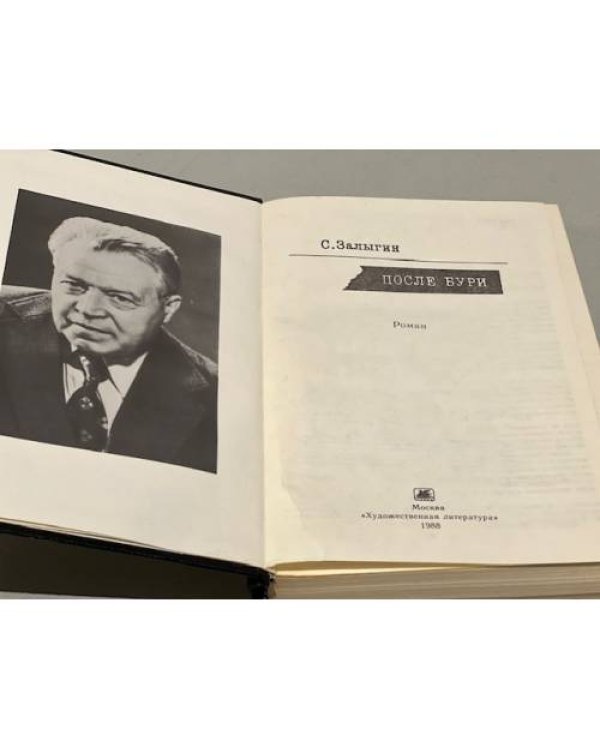 Дополнительное изображение книги «После бури»
