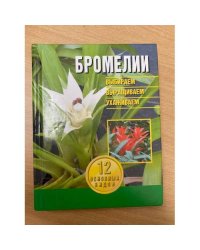 Бромелии. Выбираем, выращиваем, ухаживаем