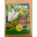 Бромелии. Выбираем, выращиваем, ухаживаем