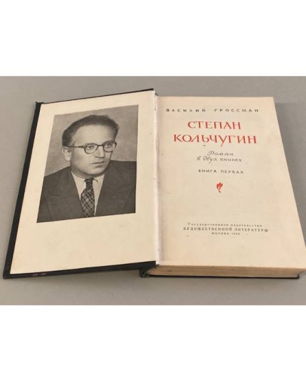 Степан Кольчугин. Книга 1