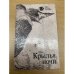 Крылья ночи