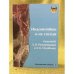 Индонезийцы и их соседи. Festschrift Е. В. Ревуненковой и А. К. Оглоблину. Маклаевский сборник