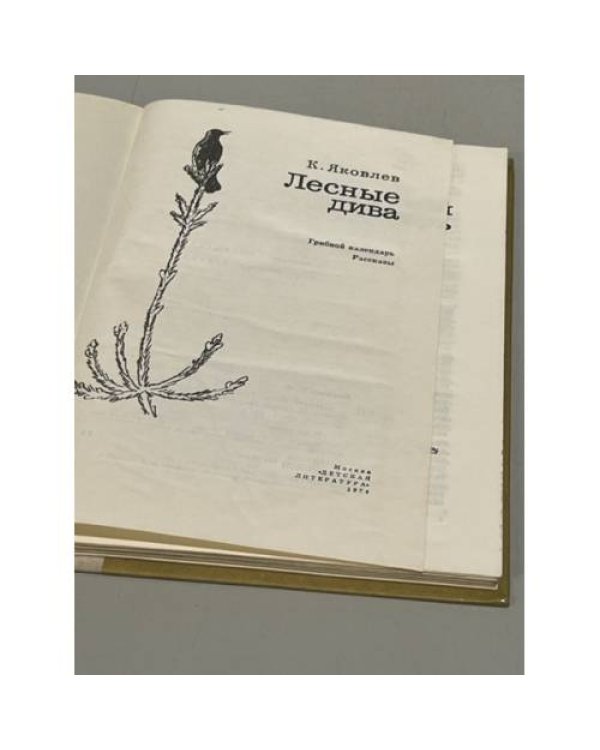 Дополнительное изображение книги «Лесные дива »