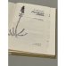 Дополнительное изображение книги «Лесные дива »