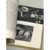 Дополнительное изображение книги «Лесные дива »