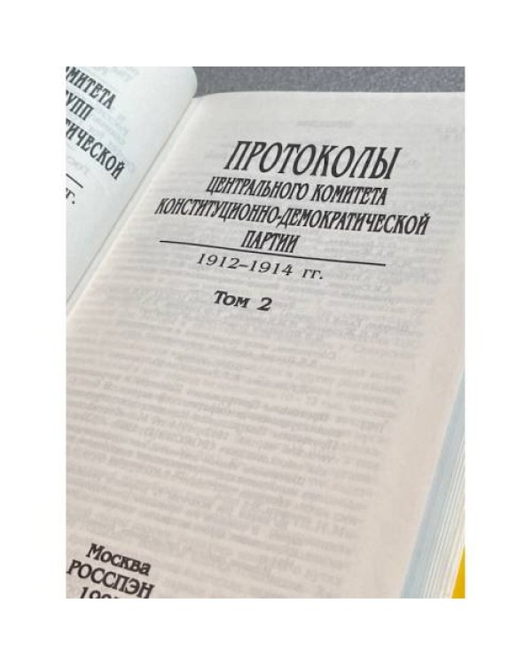 Протоколы Центрального Комитета Конституционно-демократической партии. 1912-1914 гг. Том 2