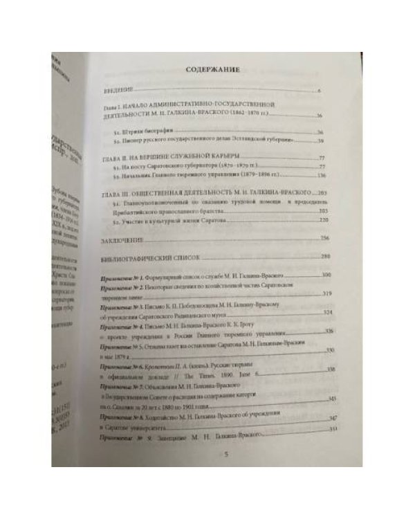 Михаил Николаевич Галкин-Враской. Государственная и общественная деятельность