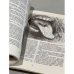 Дополнительное изображение книги «Гаргантюа и Пантагрюэль»
