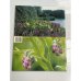 Floriade 2002 – Feel the Art of Nature