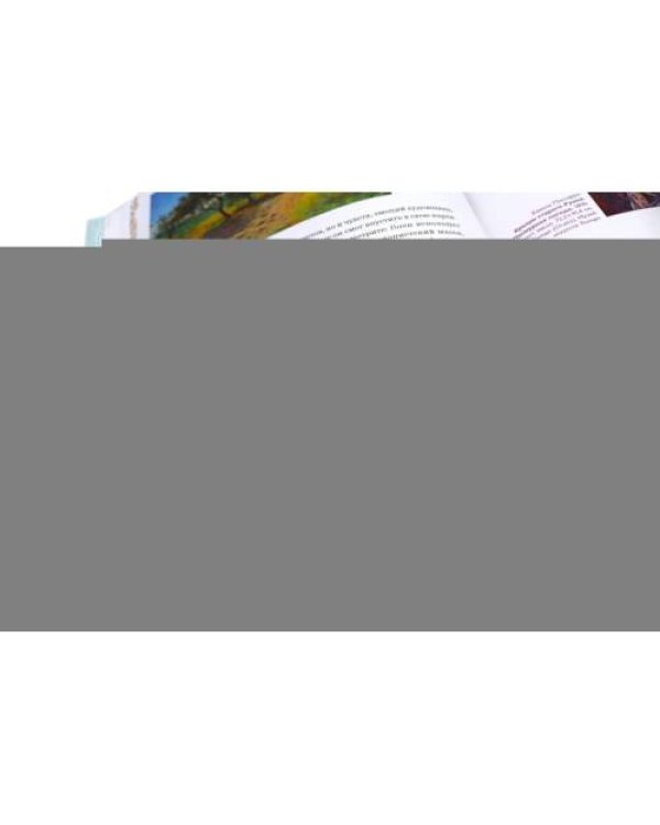 Дополнительное изображение книги «Камиль Писсарро - скрытые шедевры»