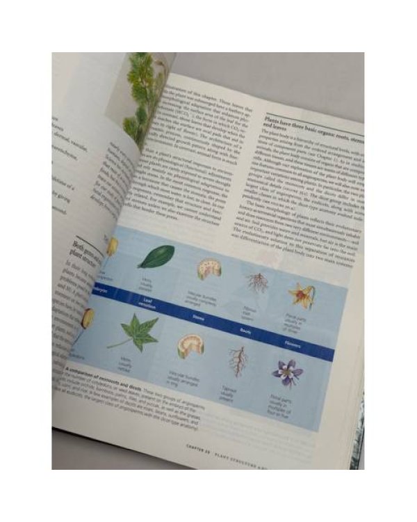 Biology, Sixth Edition
