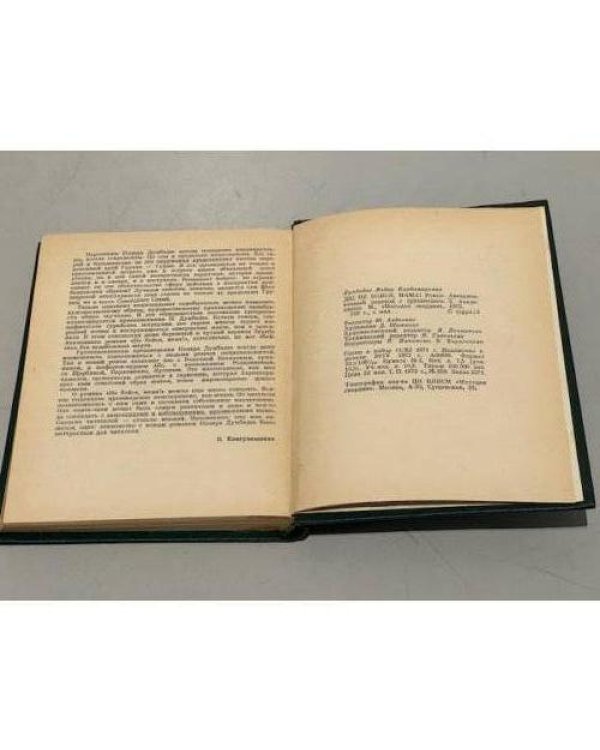Дополнительное изображение книги «Не бойся, мама!»