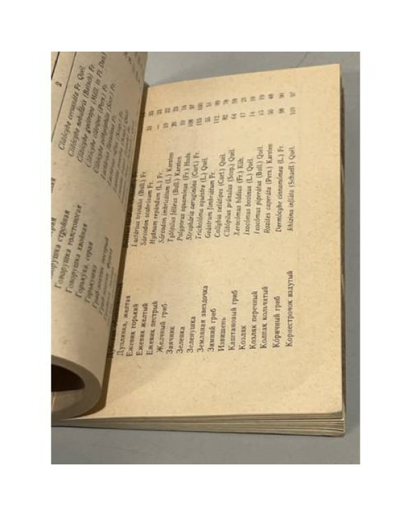 Дополнительное изображение книги «Советы собирателям грибов»