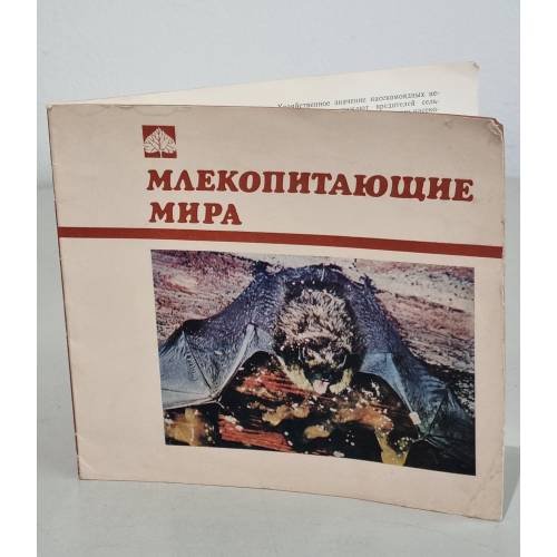 Обложка книги «Млекопитающие мира» — Автор не указан