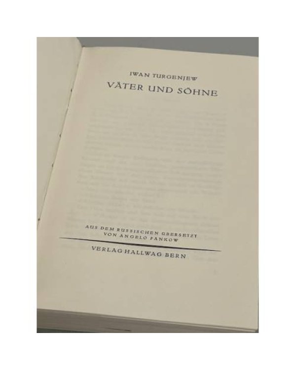 Дополнительное изображение книги «Väter und Söhne»