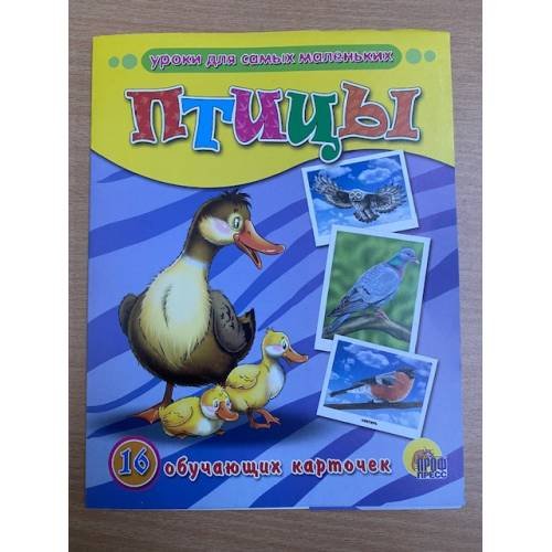 16 обучающих карточек. Птицы