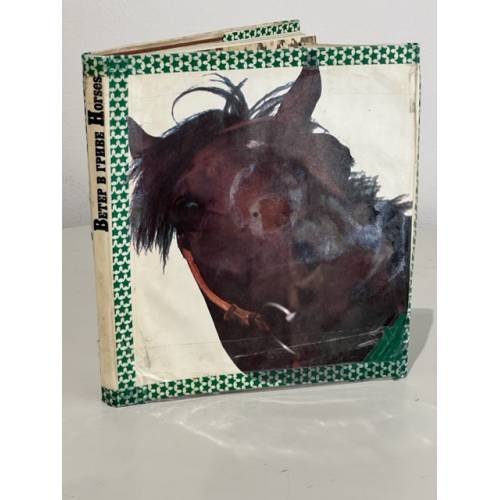 Подарочный альбом. Фотоальбом "Ветер в гриве. Лошади. Horses"
