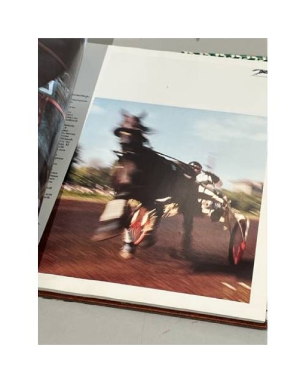 Подарочный альбом. Фотоальбом "Ветер в гриве. Лошади. Horses"