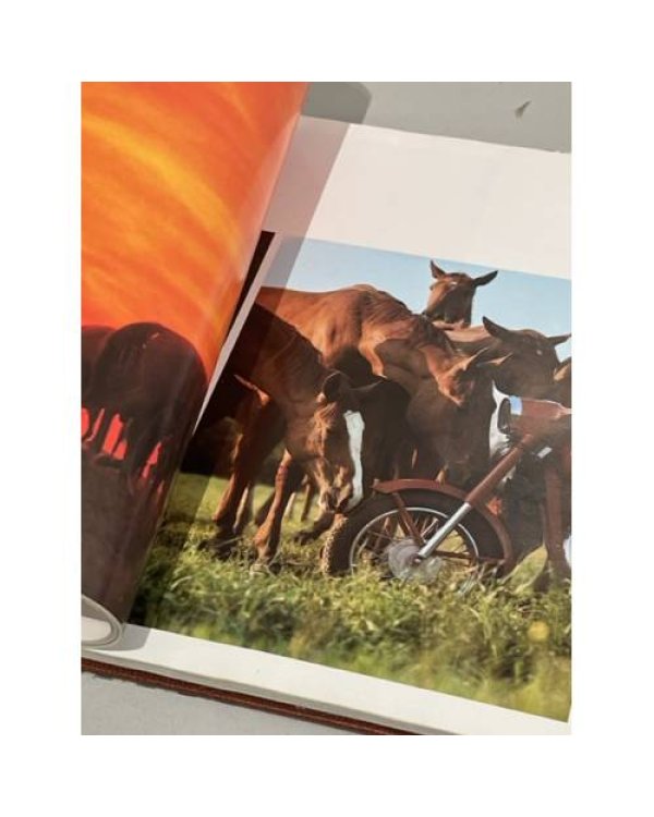 Подарочный альбом. Фотоальбом "Ветер в гриве. Лошади. Horses"