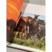 Подарочный альбом. Фотоальбом "Ветер в гриве. Лошади. Horses"