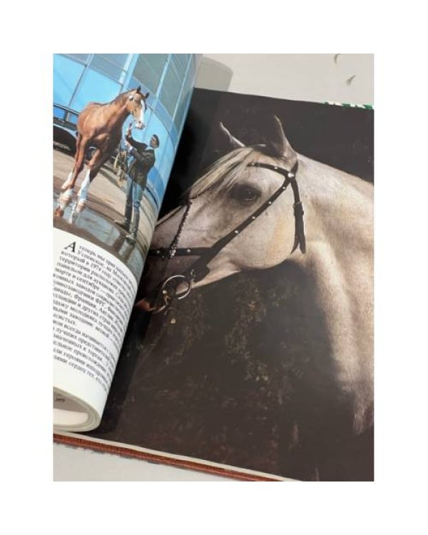 Подарочный альбом. Фотоальбом "Ветер в гриве. Лошади. Horses"