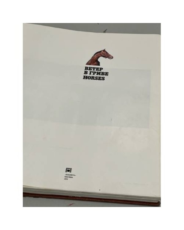 Подарочный альбом. Фотоальбом "Ветер в гриве. Лошади. Horses"