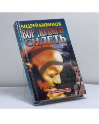 Вор должен сидеть