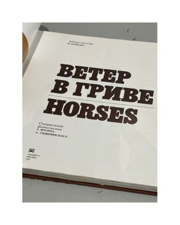 Подарочный альбом. Фотоальбом "Ветер в гриве. Лошади. Horses"