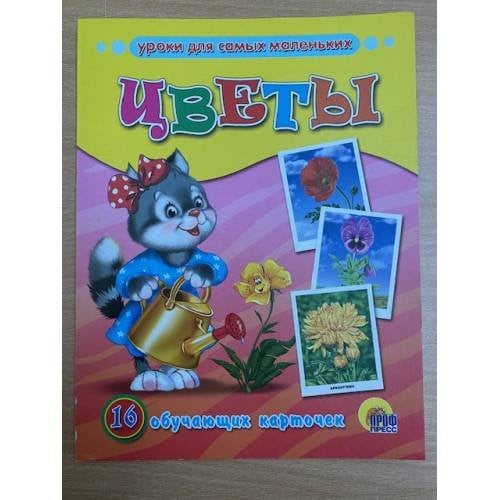 16 обучающих карточек. Цветы