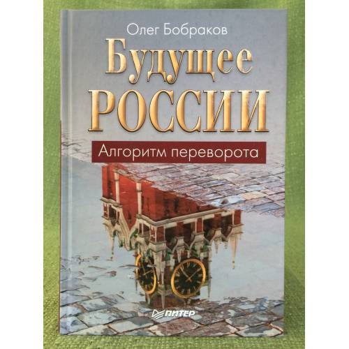 Будущее России. Алгоритм переворота