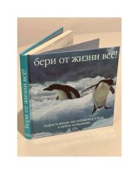 Бери от жизни всё!  Мудрость жизни: Как добиваться успеха в любых начинаниях