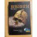 Викинги. Потомки Одина и Тора